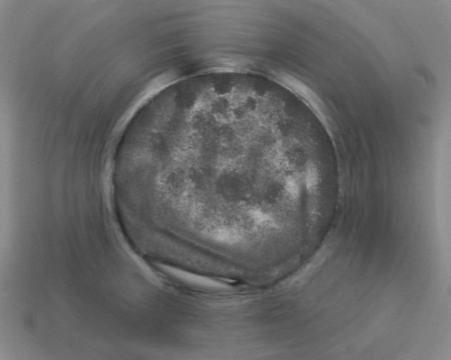 X0000113881235200910221349