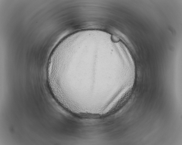 X0000113881236200910221349