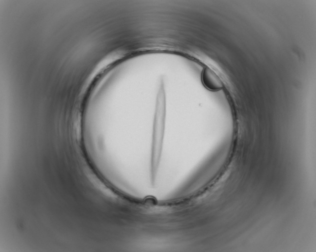 X0000113881238200910221349
