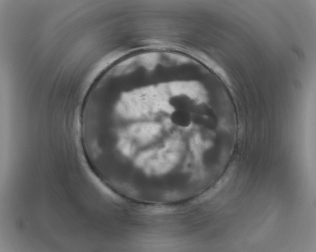X0000113881239200910221349