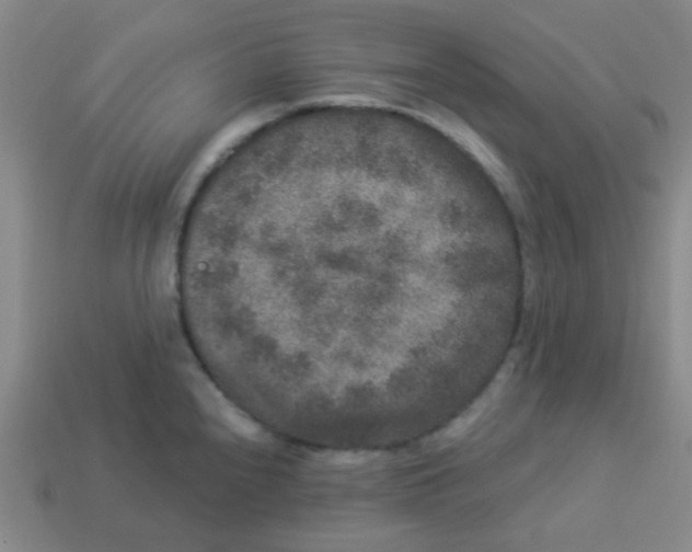 X0000113881240200910221349