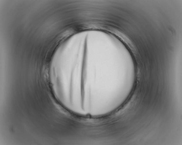 X0000113881241200910221349