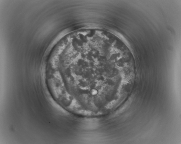 X0000113881243200910221349
