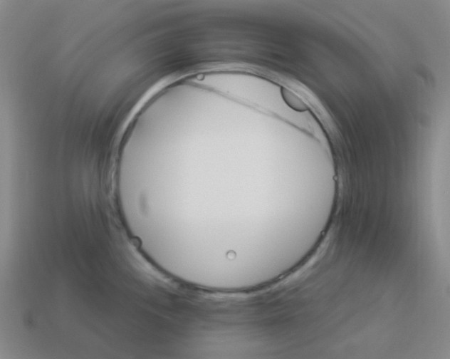 X0000113881244200910221349