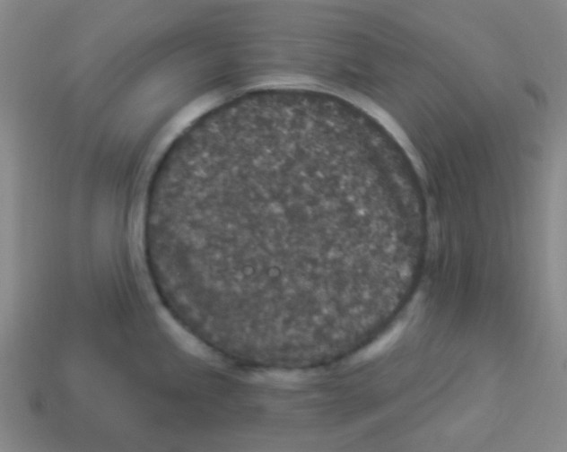 X0000113881245200910221349