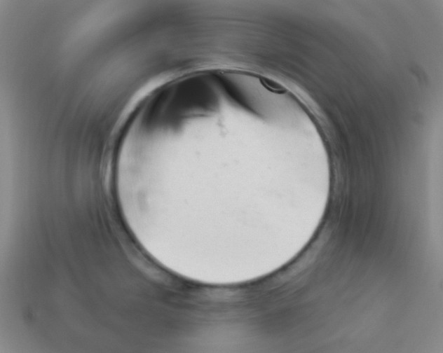 X0000113881246200910221349