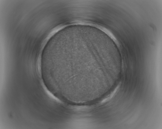 X0000113881247200910221349
