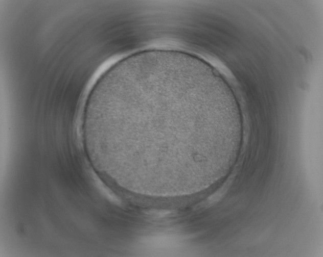 X0000113881248200910221349