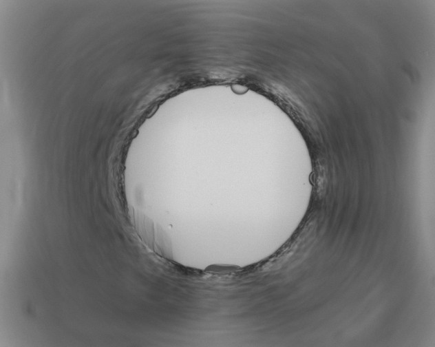 X0000113881249200910221349