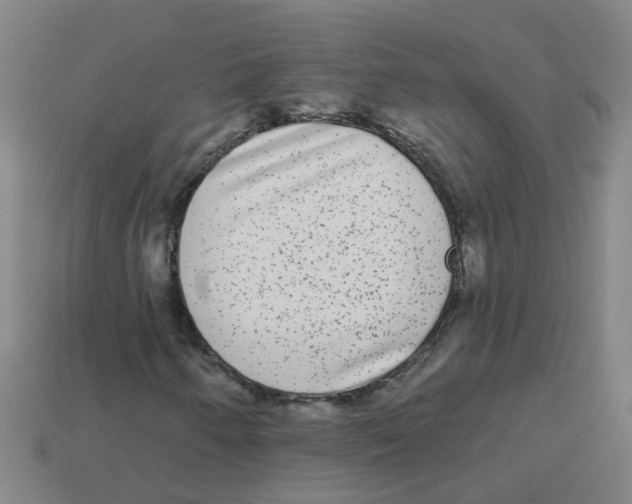 X0000113881250200910221349