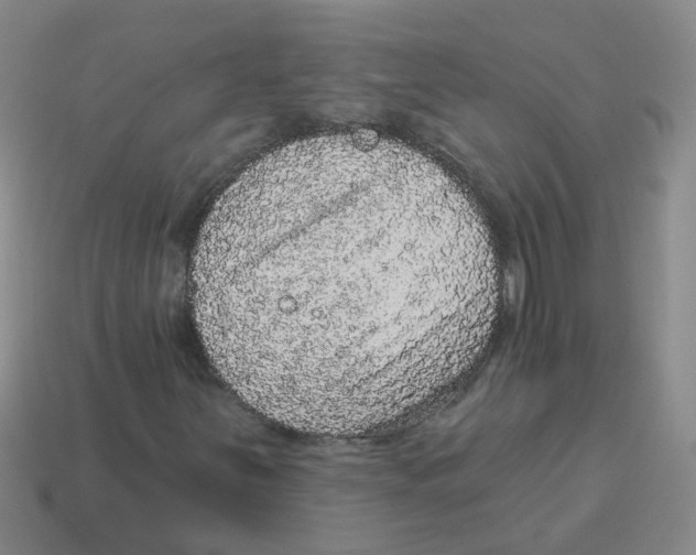 X0000113881251200910221349