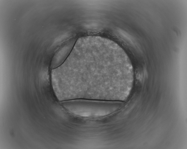 X0000113881252200910221349