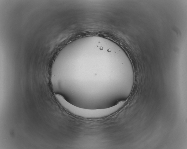 X0000113881253200910221349