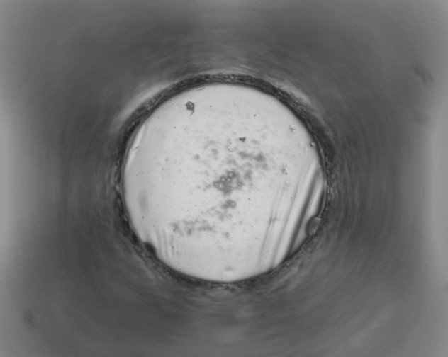 X0000113881255200910221348