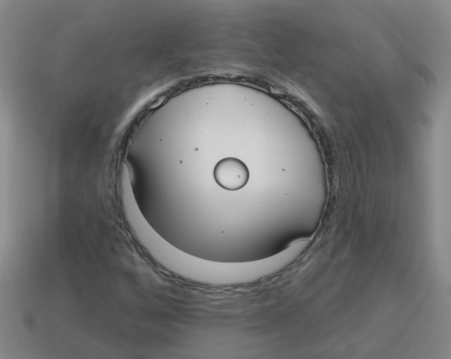 X0000113881256200910221348