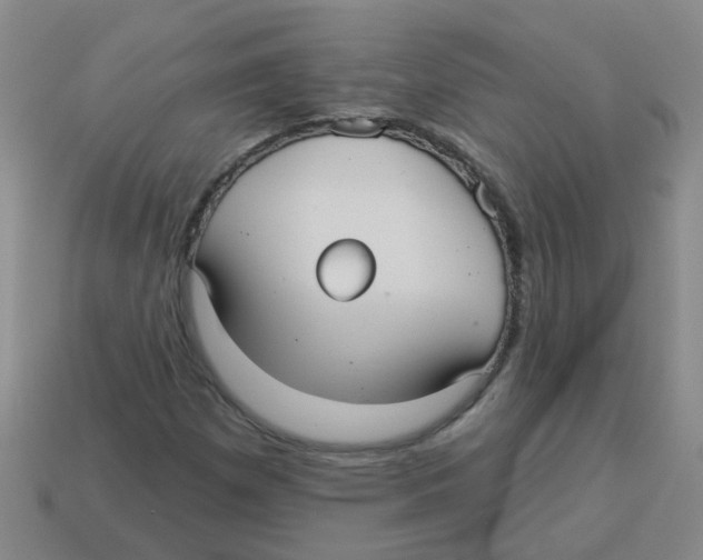 X0000113881257200910221348