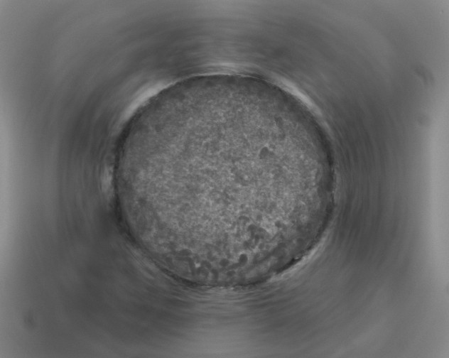 X0000113881259200910221348