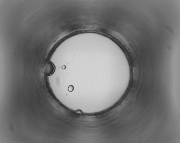 X0000113881260200910221348