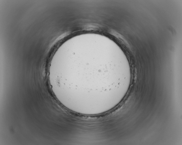 X0000113881261200910221348