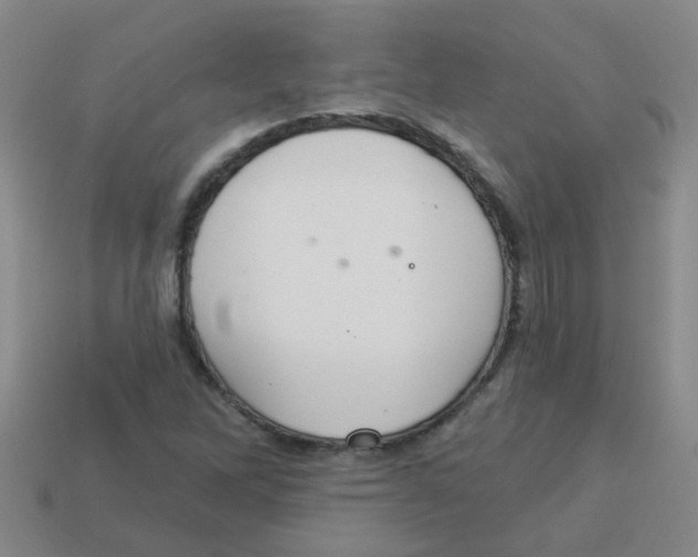 X0000113881262200910221348