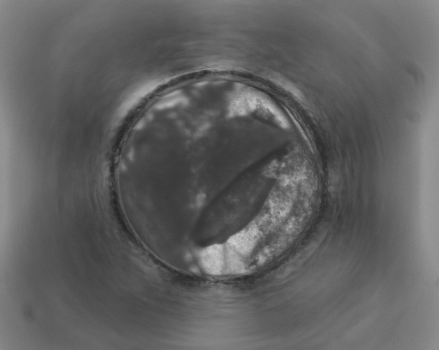 X0000113881263200910221348