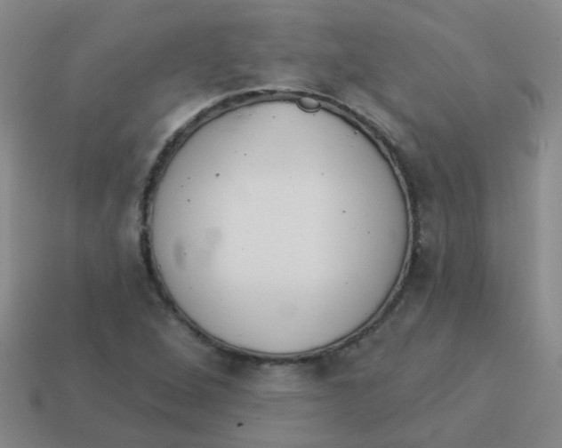 X0000113881264200910221348