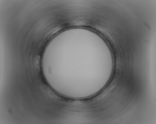 X0000113881265200910221348