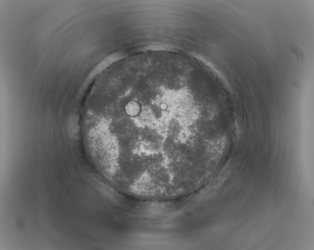 X0000113881266200910221348