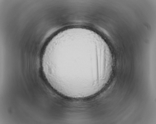 X0000113881267200910221348