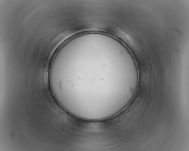 X0000113881268200910221348