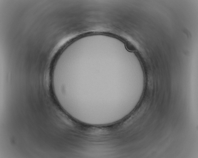 X0000113881270200910221348