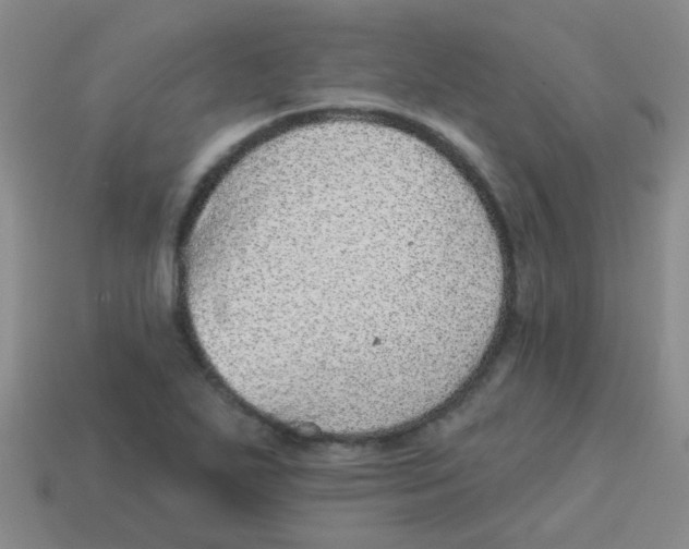 X0000113881271200910221348
