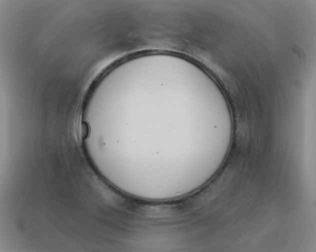 X0000113881272200910221348