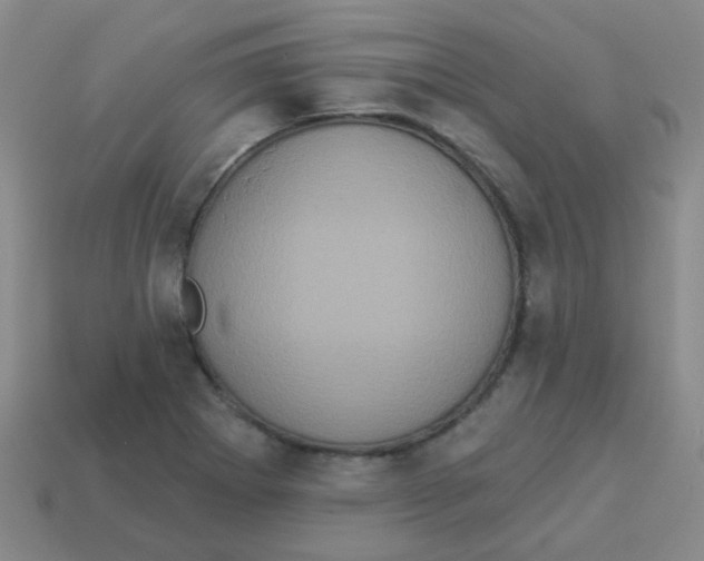 X0000113881273200910221348