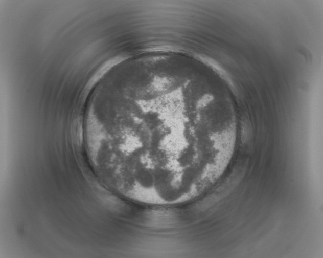 X0000113881274200910221348