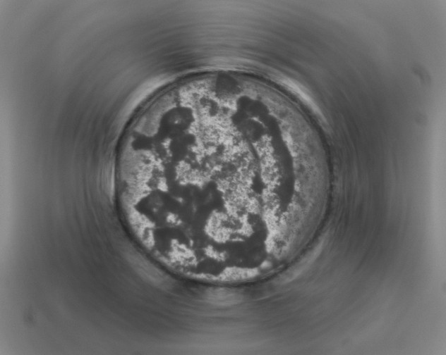 X0000113881275200910221348