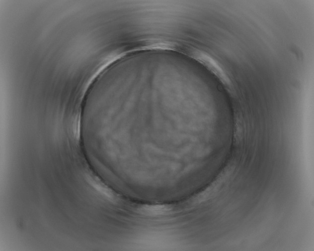 X0000113881276200910221348