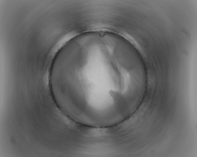X0000113881277200910221348
