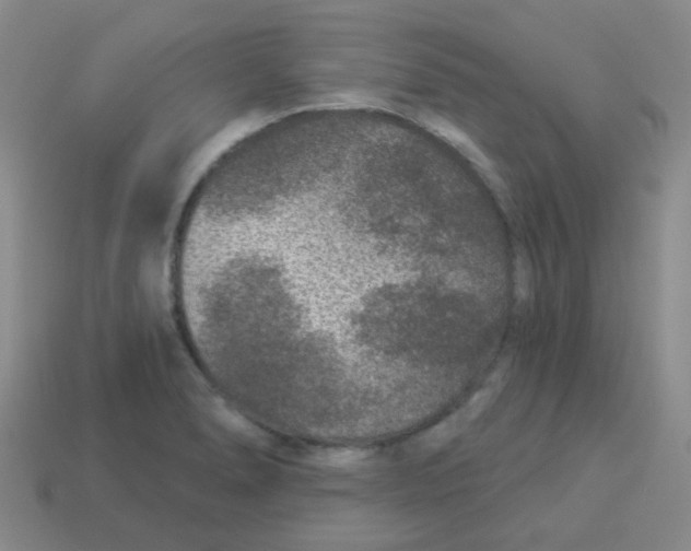 X0000113881278200910221348