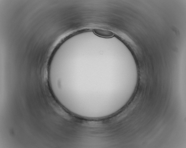 X0000113881280200910221348