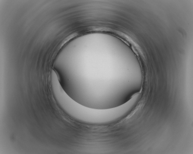 X0000113881281200910221348
