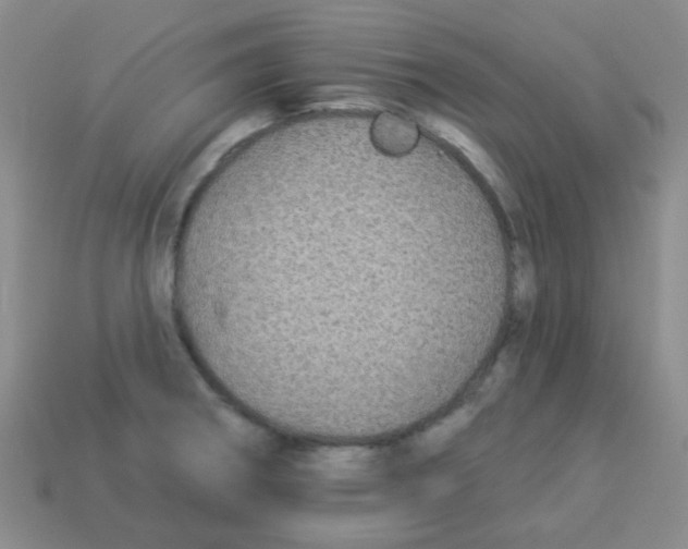 X0000113881282200910221348