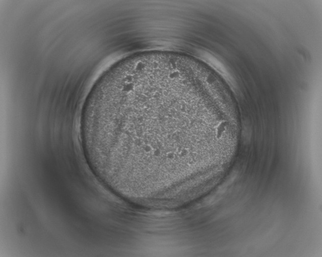 X0000113881283200910221348