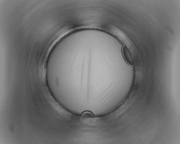 X0000113881284200910221348