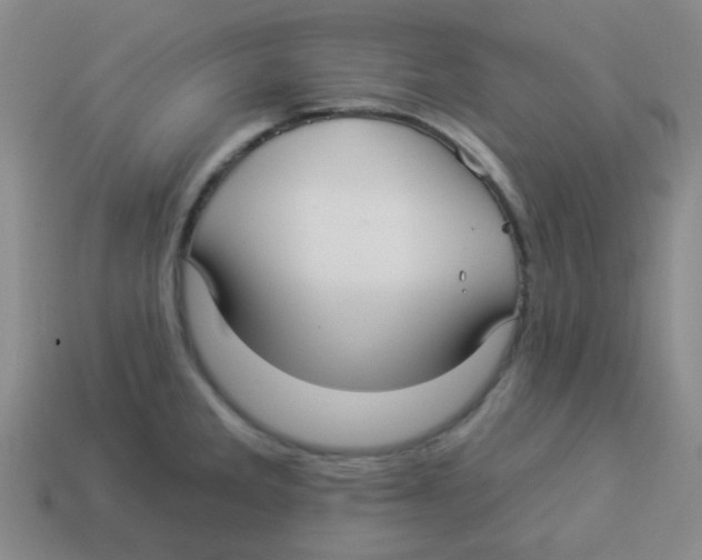 X0000113881285200910221348