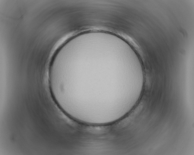 X0000113881286200910221348