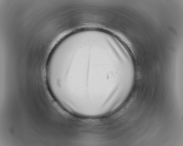 X0000113881287200910221348