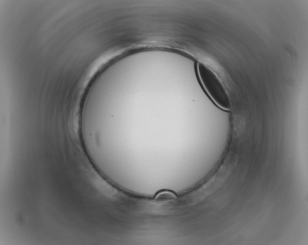 X0000113881288200910221348