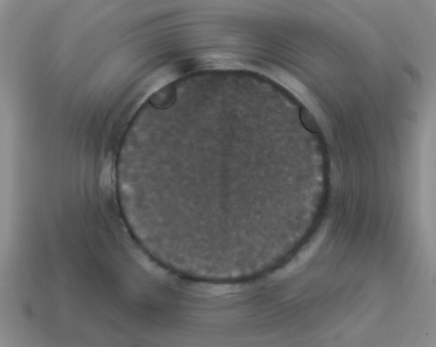 X0000113881289200910221348