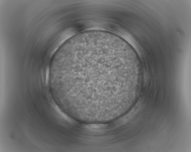 X0000113881290200910221348